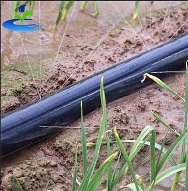 Tubo Spruzzatore Con Fori