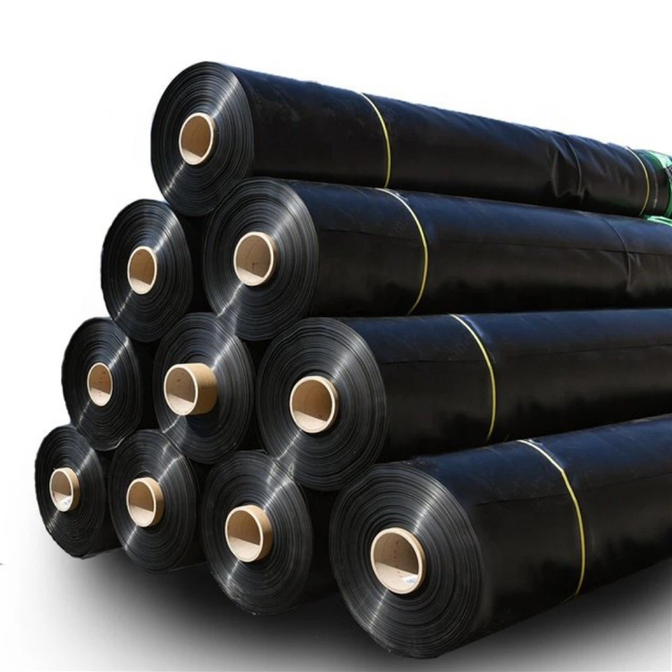 Geomembrana HDPE per discariche, allevamenti di pesce, mining e serbatoi - Disponibile in 0. 5mm, 1mm, 1,5 mm, 2 mm