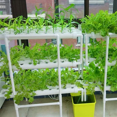108 siti di piante Kit di coltivazione idroponica Sistema di piante da giardino per coltura in acqua