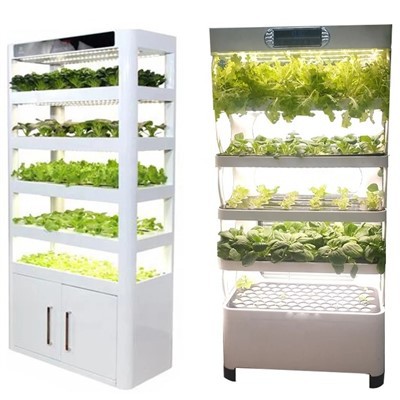 Giardino intelligente indoor|Sistema agricolo verticale idroponico per la casa